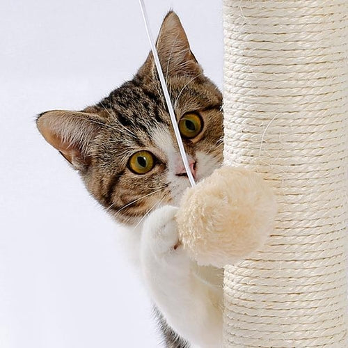 Indoor Cat Soft Scratching Board And Interactive Ball Track Toy Cat