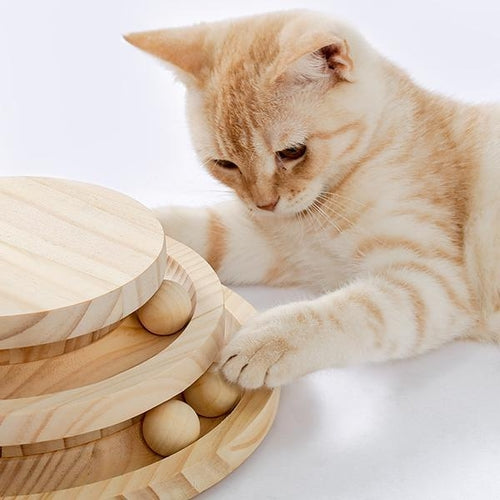 Indoor Cat Soft Scratching Board And Interactive Ball Track Toy Cat