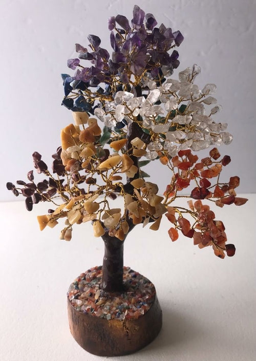 Seven Chakra Gemstone Money Tree (500 chip Tree)