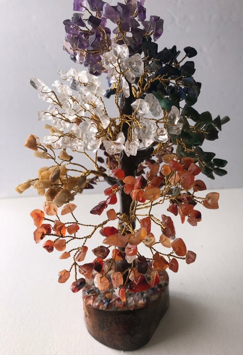 Seven Chakra Gemstone Money Tree (500 chip Tree)