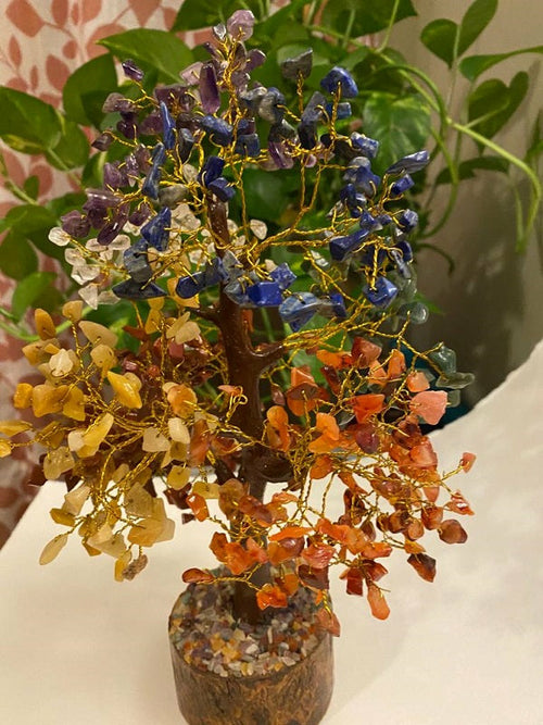 Seven Chakra Gemstone Money Tree (500 chip Tree)
