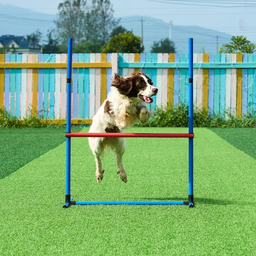 Dog Agility Training Equipment, 5 PCS Set with Adjustable High
